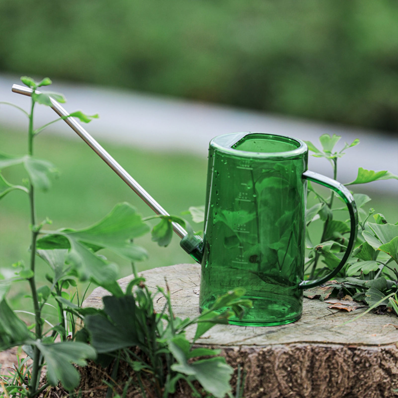 Gardening Tools For Beginners - 1L/1.5L Indoor Plants Watering Can Transparent