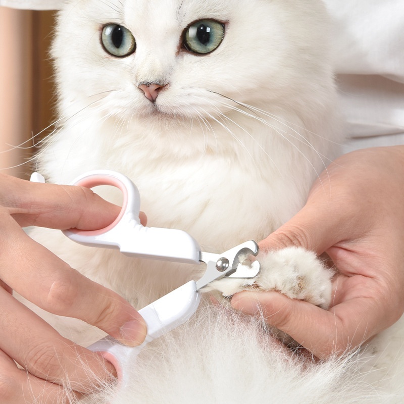Gardening Tools Combo - Pet Nail Dog Nail Clippers Scissors