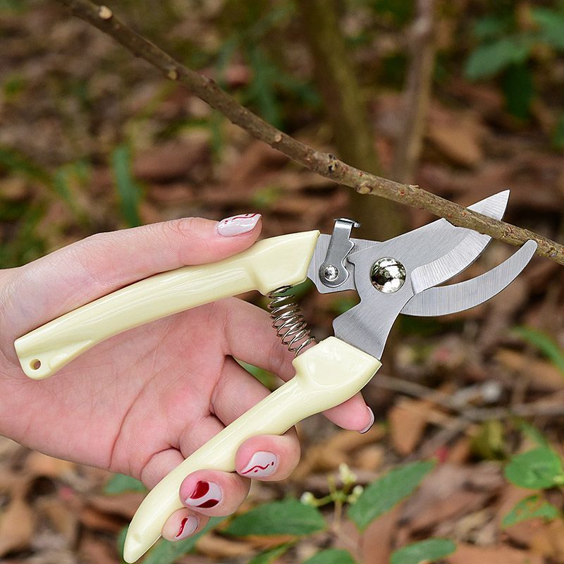 Gardening Tool Diy - Labor‑Saving Garden Pruning Shears, Professional Hand