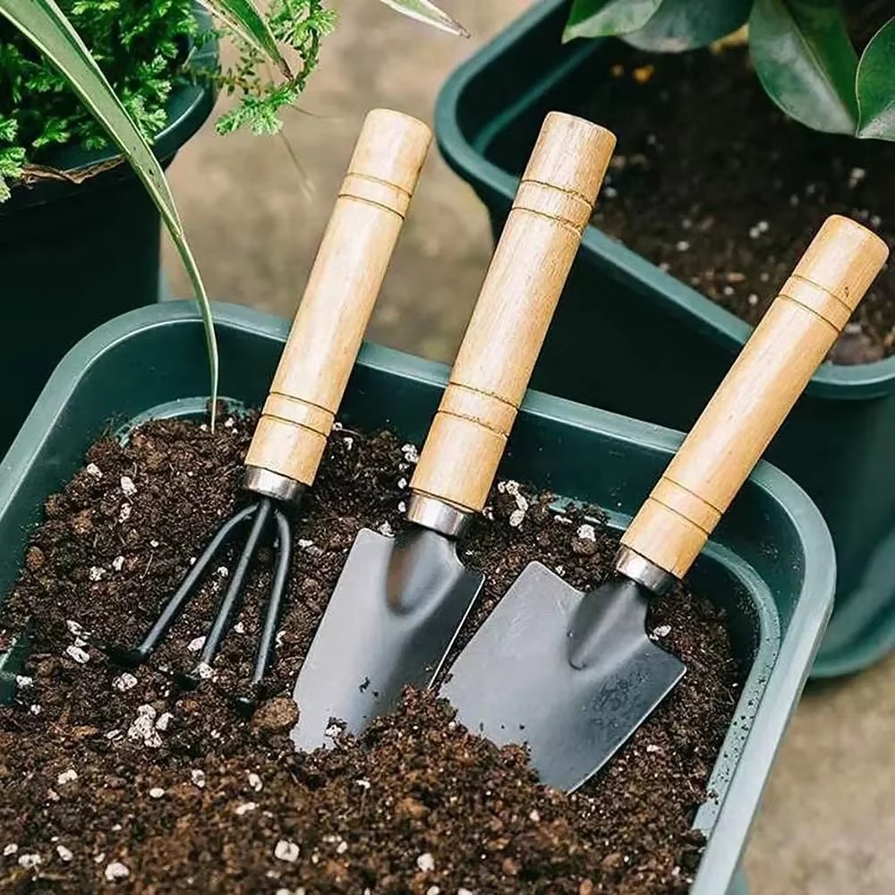 Gardening Tools Combo - 3Pcs/Set Mini Garden Tool Set For
