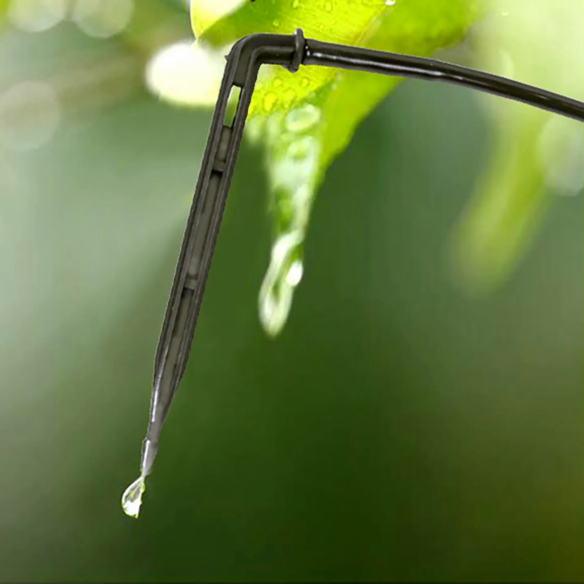Arrow Dripper Joint Garden Irr - Gardening Tools For Beginners review and price