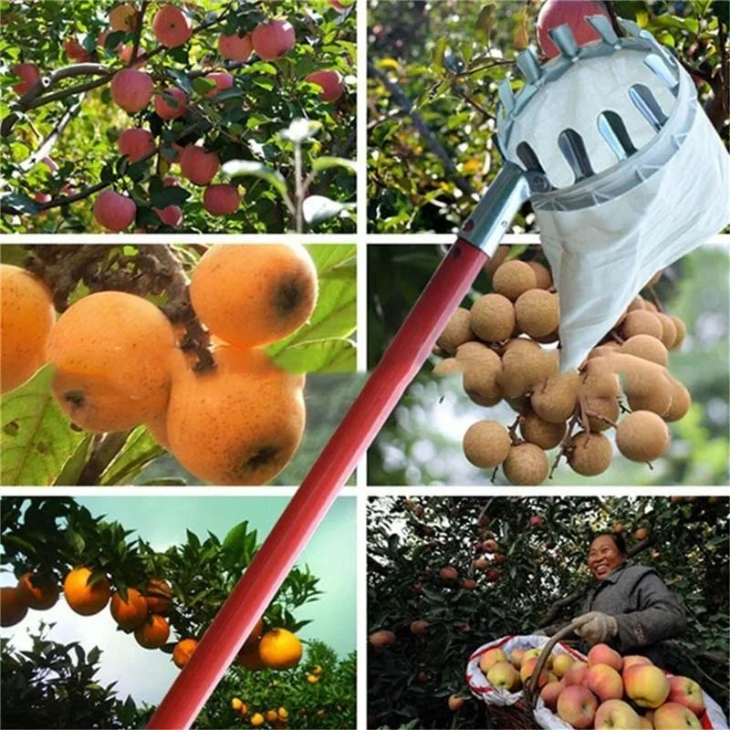 Garden Fruit Picker, Telescopi - Gardening Tools Scissors review and price