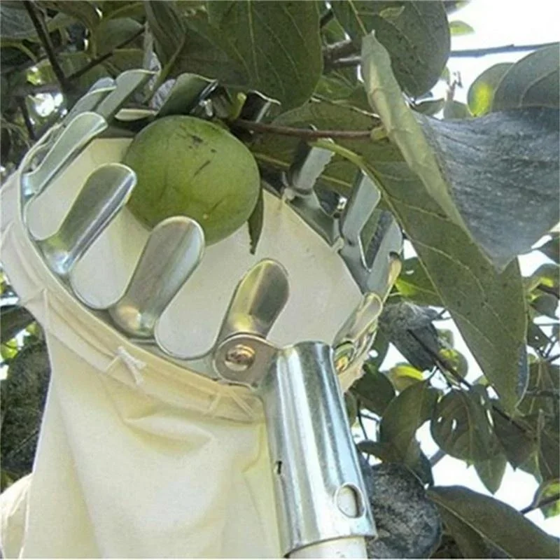 Garden Fruit Picker, Telescopi - Gardening Tools Scissors review and price