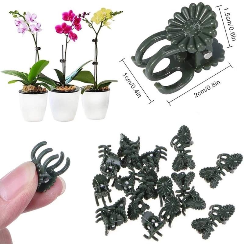 50PCS 5-Claw Dark Green Plant  - Gardening Tools Bundle review and price