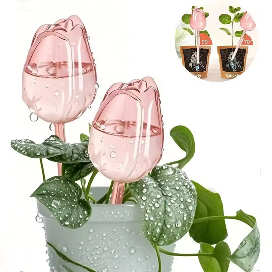 Transparent Thick PET Tulip Sh - Gardening Tools For Home review and price