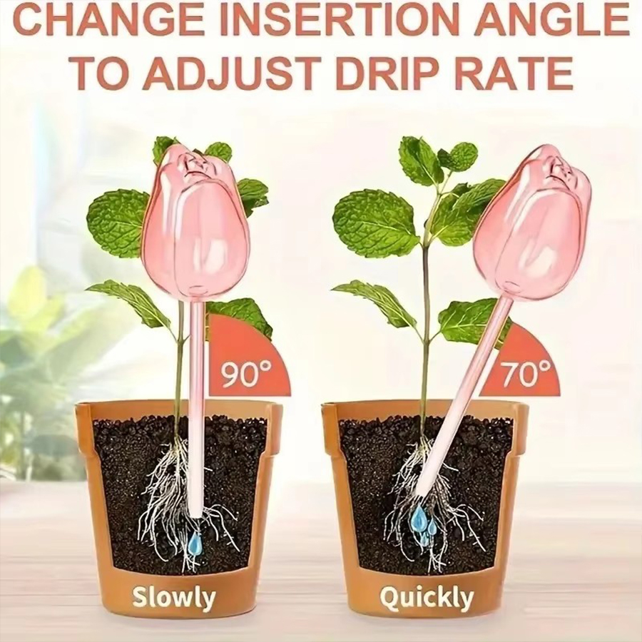 Transparent Thick PET Tulip Sh - Gardening Tools For Home review and price