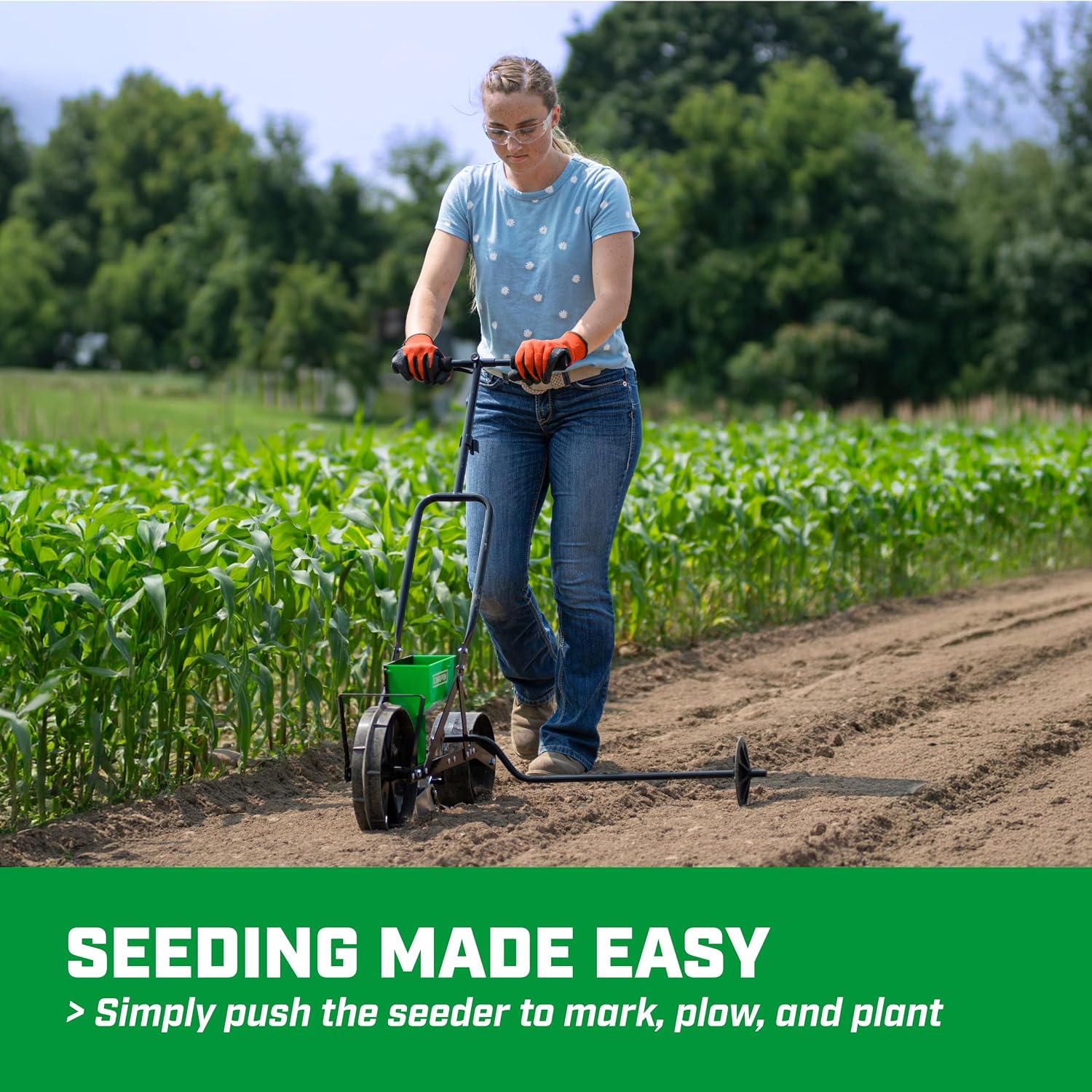 Chapin 8701G Garden Push Seede - Garden Row Marker review and price