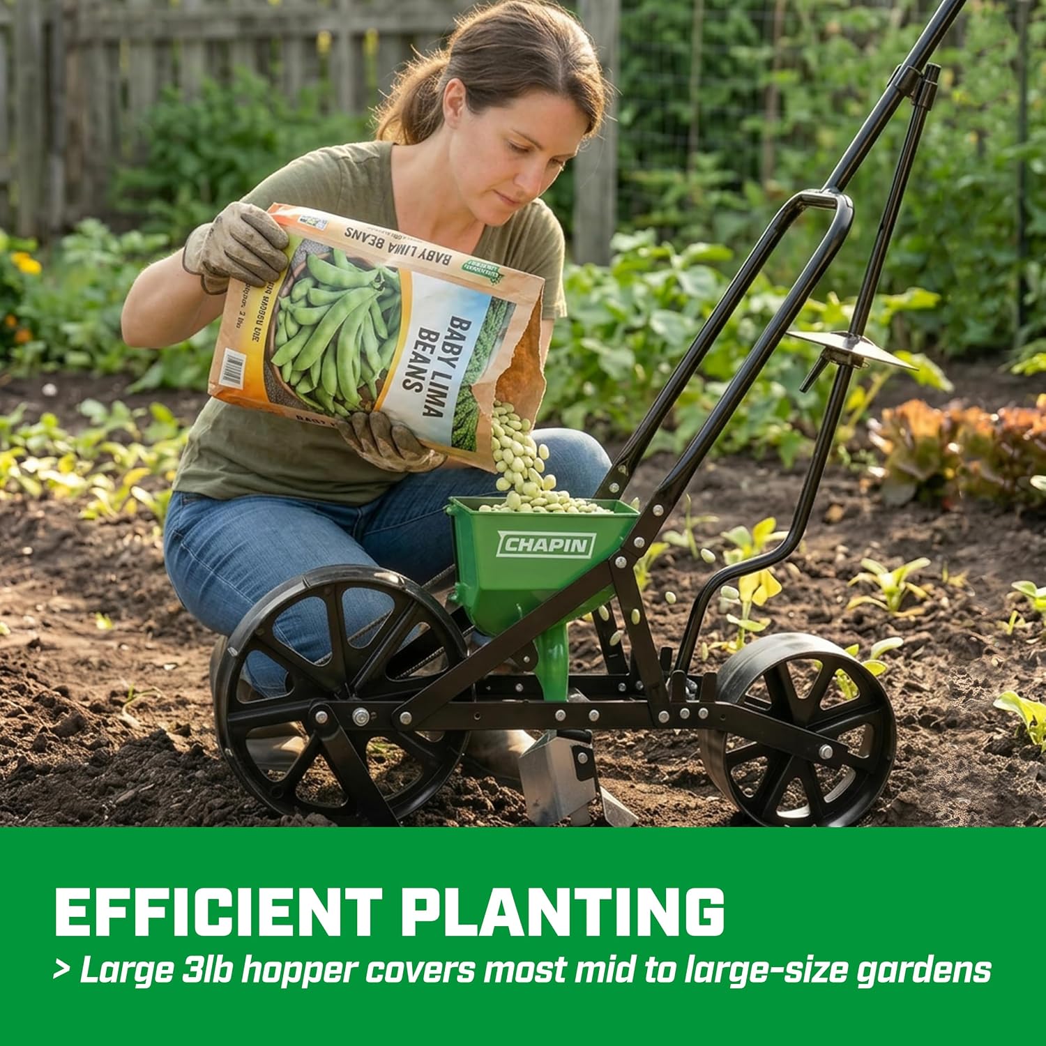 Chapin 8701G Garden Push Seede - Garden Row Marker review and price