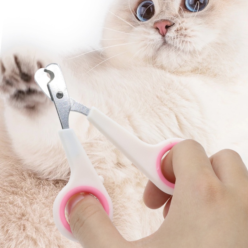 Pet Nail Dog Nail Clippers Sci - Gardening Tools Combo review and price