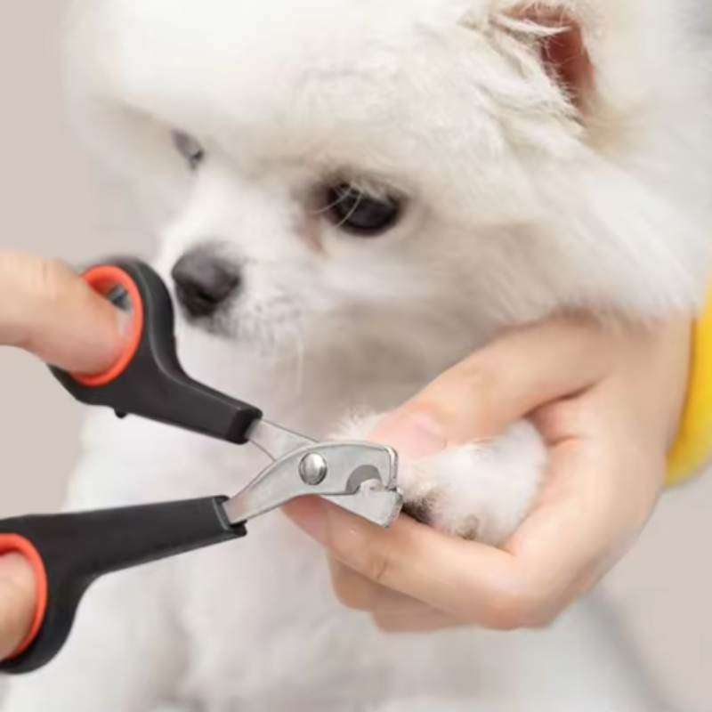Pet Nail Dog Nail Clippers Sci - Gardening Tools Combo review and price