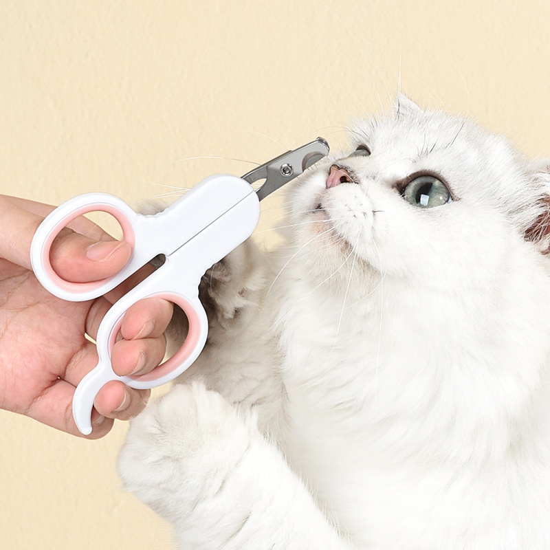 Pet Nail Dog Nail Clippers Sci - Gardening Tools Combo review and price