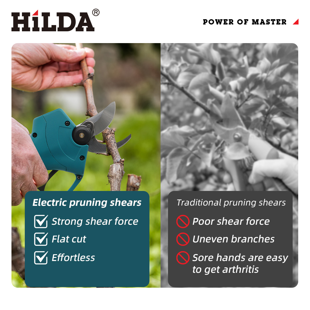 HILDA 18V Brushless Cordless E - Gardening Tools Combo review and price