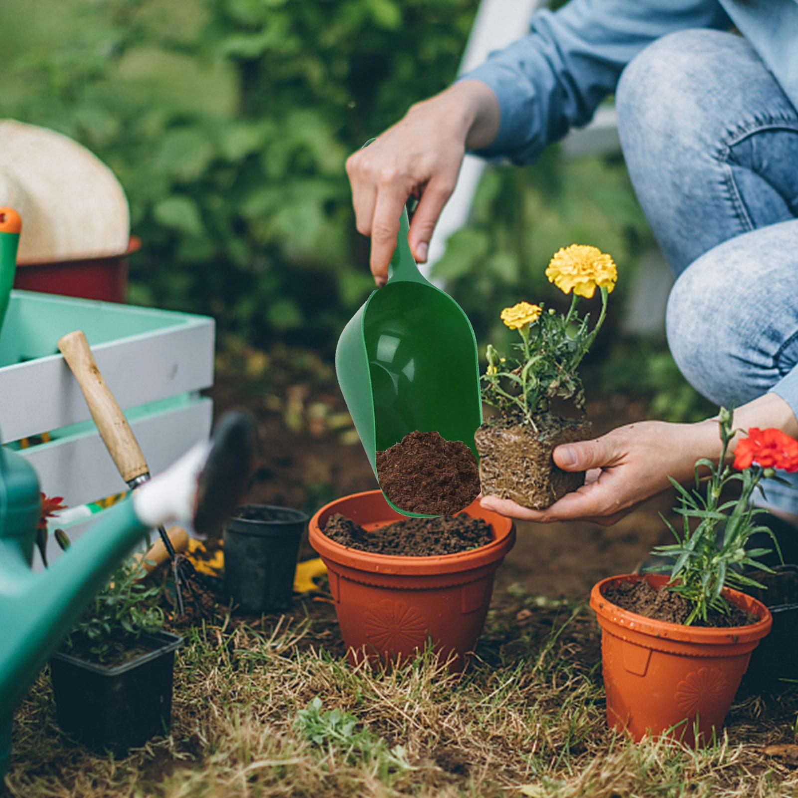 Gardening Shovel Soil Scoops L - Gardening Tools Spade review and price
