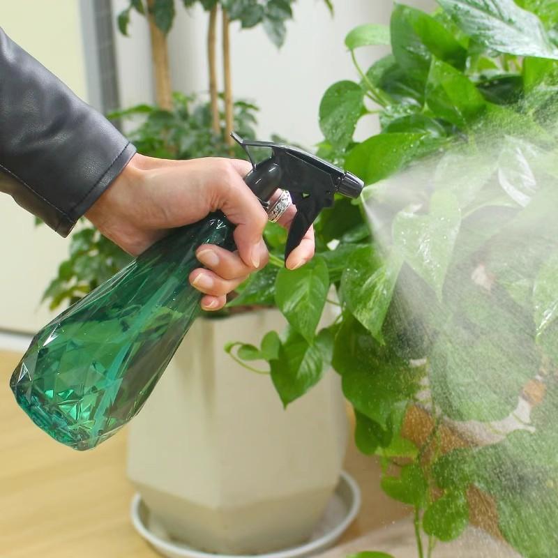 600Ml Handheld Mist Sprayer Bo - Gardening Tools For Beginners review and price