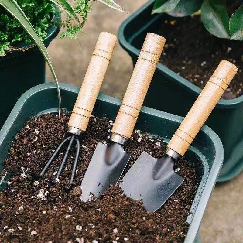 3PC/1Set Mini Gardening Tools  - Gardening Tools Spade review and price