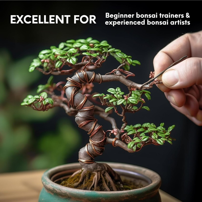 5M Bonsai Training Wire Set fo - Gardening Tool Diy review and price