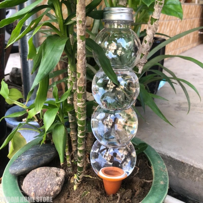 1Pc Creative Automatic Plant W - Gardening Tools For Home review and price