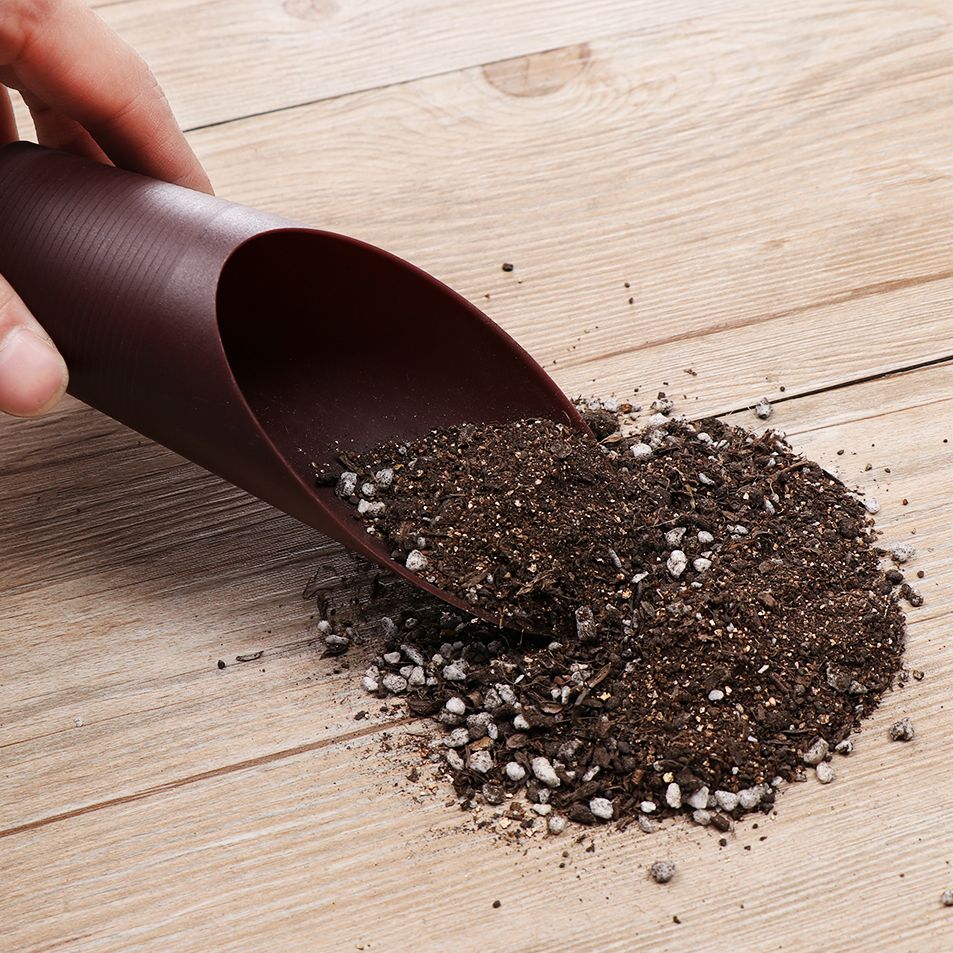 1PC Plastic Soil Shovel Cup Fo - Gardening Tools Spade review and price